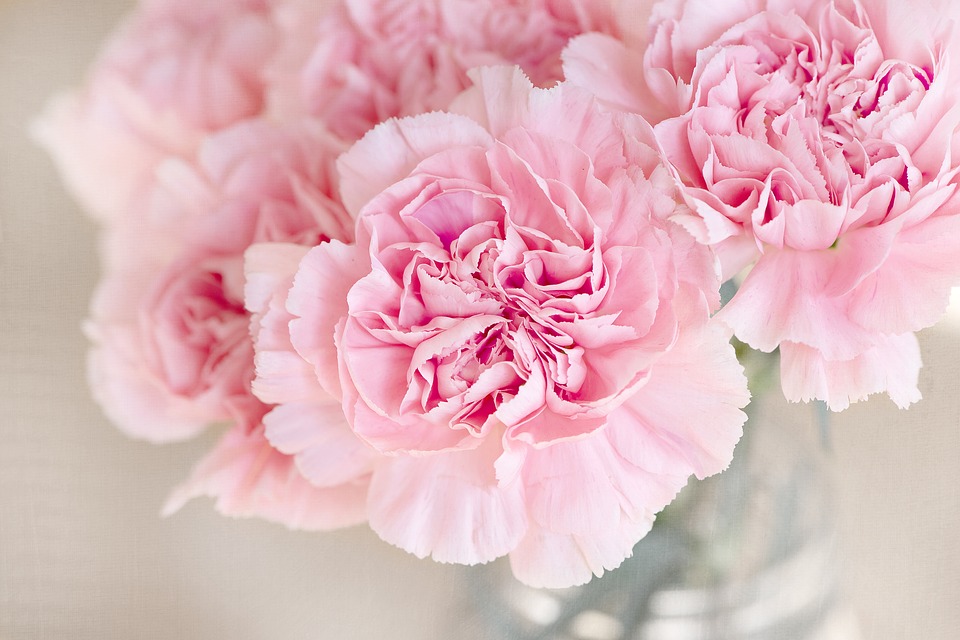 9-beneficios-de-las-flores-que-no-puedes-ignorar-000
